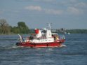 Motor Segelboot mit Motorschaden trieb gegen Alte Liebe bei Koeln Rodenkirchen P083